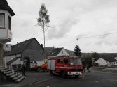 Maibaum 2010