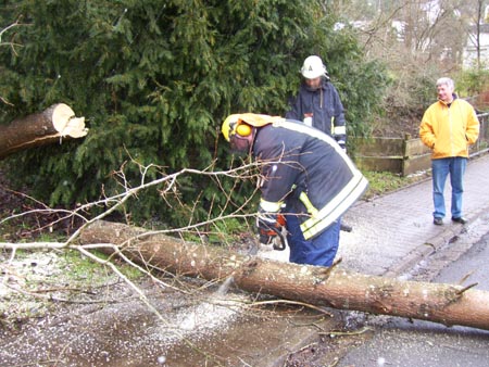 Baum_21-03-2008_3.jpg