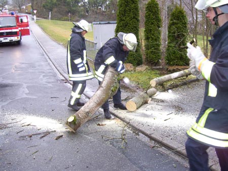 Baum_21-03-2008_4.jpg